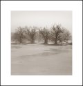 The Goose Pond in Winter