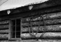 Old Cabin