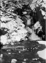 Winter Wonderland