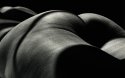 Nude with light and shadows