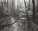 North Country Trail