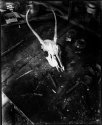 8X10 DIY Pinhole