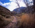 Grand Canyon Trip - Color Chrome