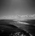 Pacific