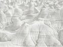 Bisti Portfolio