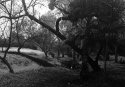Poway Creek tributary