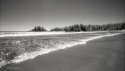 Kodak Infrared