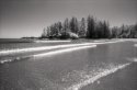 Kodak Infrared