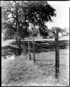 8X10 pinhole