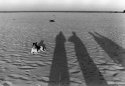 Dog and shadows