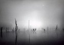Misty Lake Morning