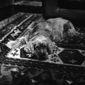 The Most Beautiful Baby on Rolleiflex