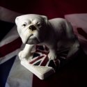 Hey Bulldog Exposure no. 10