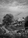 Forlorn House.