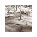 Icy Stream