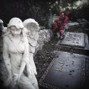 Holga
