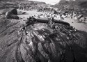 Seaside Pinholes #3