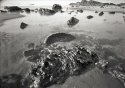 Seaside Pinholes #4