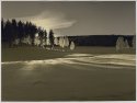 Birch, snow and light I [Print #2]