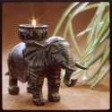 Elephant Fire