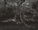 Pat's Branch - Neshannock Creek
