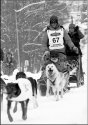 Iditarod 2012