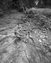 River bed