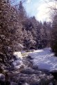 Winter Water Flow