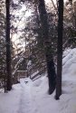 Path to the Steps