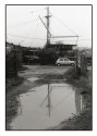 Reflection in a mud puddle