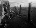 Salton Sea 1