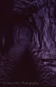 Kodachrome Cave (K64)