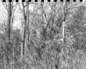 Experiments in GAF 70mm cutting to 120