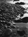 Rocky beach