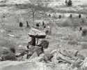 Little Round Top