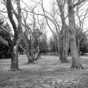 Natures Highways - Insane Experiments in Efke 127