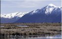 Early Alaska Summer