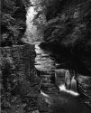 Treman Park 1