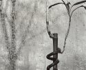 Bamboo Reverie