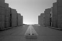 salk