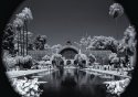 ir garden