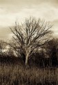 Fuji GW690 Test