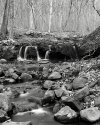 Monocacy Creek...