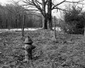 Even in the Country, the City Haunts us...