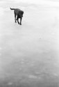 Walking on Ice
