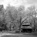 Duke Homestead