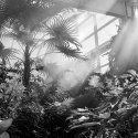Butterfly House