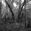 Off the trail