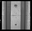 barnett newman