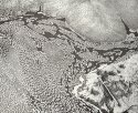 Youghiogheny River Foam